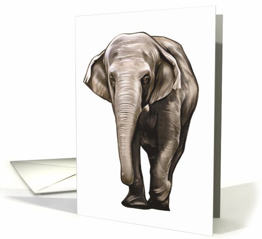 Elephant - Animals - Pets - Jungle - Zoo card (536579)