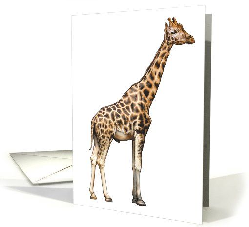Giraffe - Animals - Pets - Jungle - Zoo card (536583)