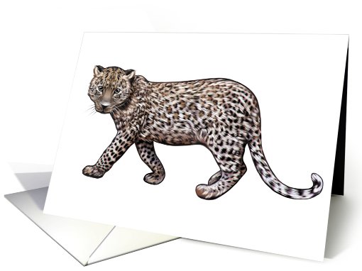 Leopard - Animals - Pets - Jungle - Zoo card (536586)