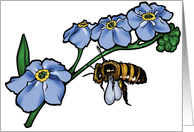 Forget-Me-Not - Alaska State Flower card