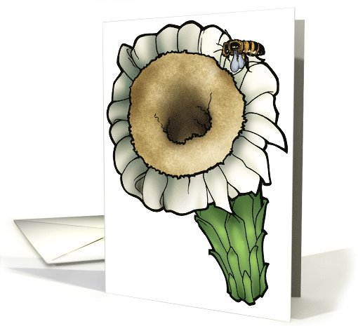 Saguaro Cactus Blossom - Arizona State Flower card (536745)