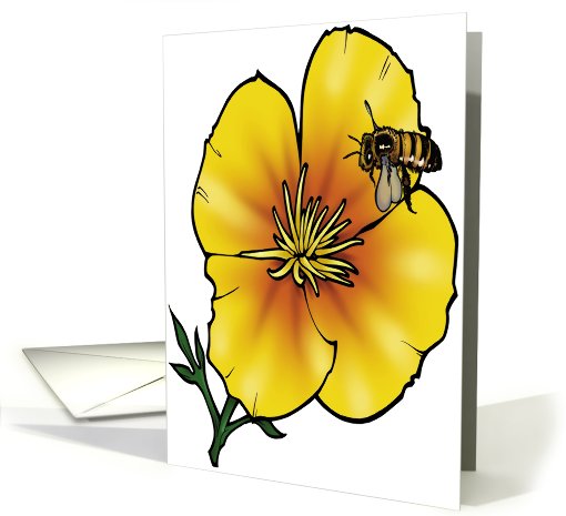 California Poppy - California State Flower card (536746)