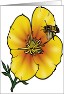 California Poppy - California State Flower card