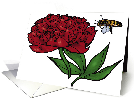 Peony - Indiana State Flower card (536755)