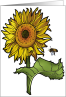 Sunflower - Kansas State Flower card