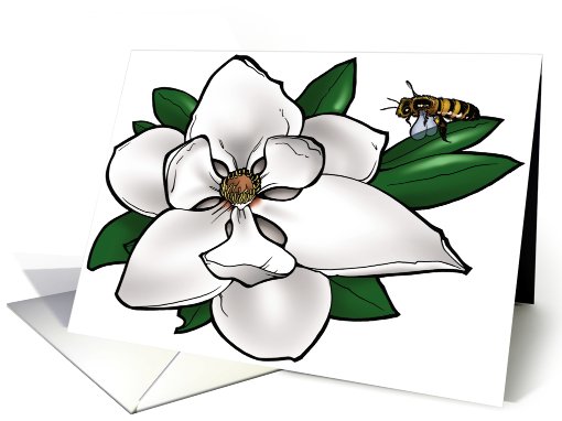 Magnolia - Louisiana State Flower - Mississippi State Flower card