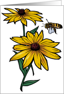 Black-Eyed Susan - Maryland State Flower card