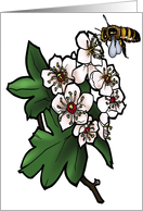 Hawthorn - Missouri State Flower card