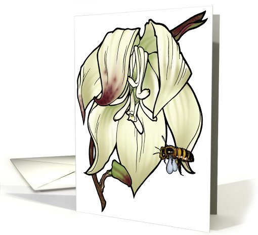 Yucca - New Mexico State Flower card (536776)