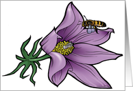 Pasque Flower - South Dakota State Flower card