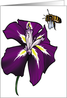 Iris - Tennessee State Flower card