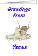 Texas Armadillo - Texas Greeting card