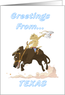 Horned Lizard - Texas Greeting card