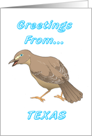Mockingbird - Texas Greeting card