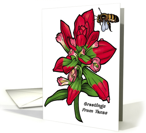 Texas Paintbrush card (537587)