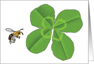 Four Leaf Clover and Bee card