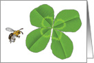 Four Leaf Clover and Bee card