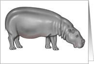 Hippopotamus card
