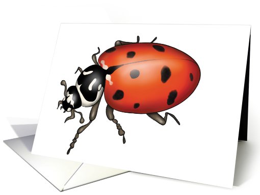 Ladybug card (539992)