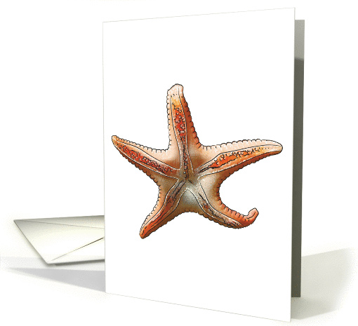Star Fish card (540111)
