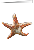Star Fish card