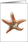 Star Fish card