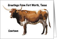 Fort Worth - Texas - Cowtown - Souvenir Greeting card