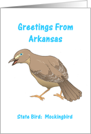 Arkansas - State Bird - Souvenir Greeting card