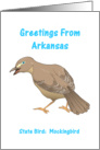 Arkansas - State Bird - Souvenir Greeting card