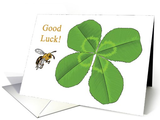 Good Luck - Four Leaf Clover - Blank card (542822)