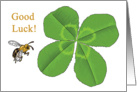 Good Luck - Four Leaf Clover - Blank Card