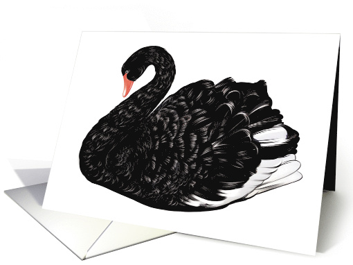 Black and White Swan - Blank Cards - Note card (545715)