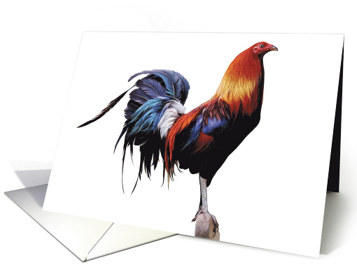 Rooster - Blank card (547300)