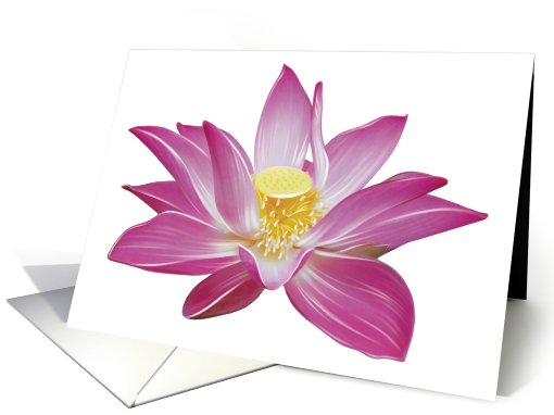 Lotus Flower - Blank card (547302)