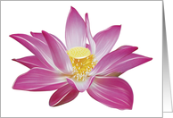 Lotus Flower - Blank Card