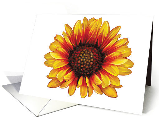 Indian Blanket Flower - Blank Card - Note card (553282)