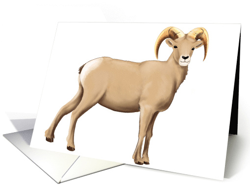 Ram - Blank Card - Note card (553286)