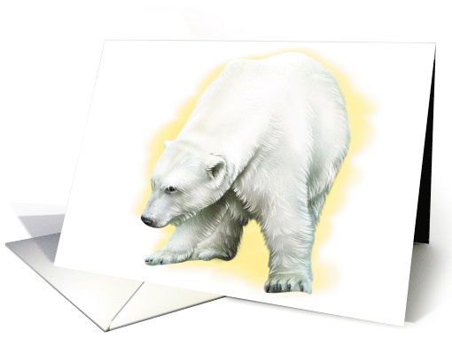 Polar Bear - Blank Card - Note card (553295)