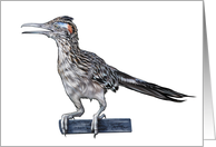 Road Runner - Blank Card - Note Card