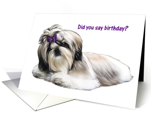 Dog - Shih Tzu - Happy Birthday card (553422)