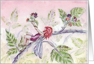 Black raspberry faerie card