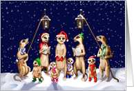 Meerkat Christmas Carol Singers card
