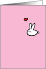 Happy Birthday - Bunny card