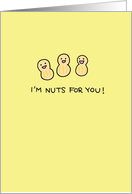 Nuts for you! - Happy Anniversary card