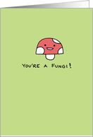 You're a Fungi! -...