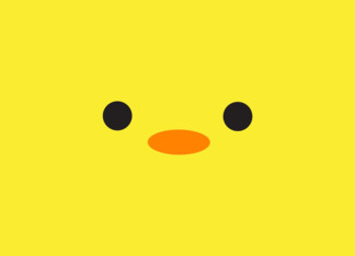 Yellow Baby Bird