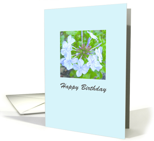 Blue Bloom Birthday card (561782)