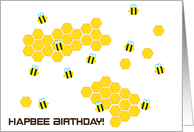 Hapbee Birthday