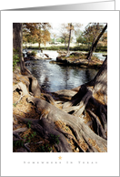 Somewhere in Texas Series card