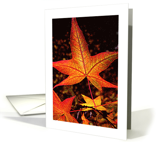 Autumn leaves card (544277)